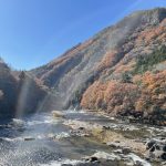 kay⭐️動物の動きで気づきを得る