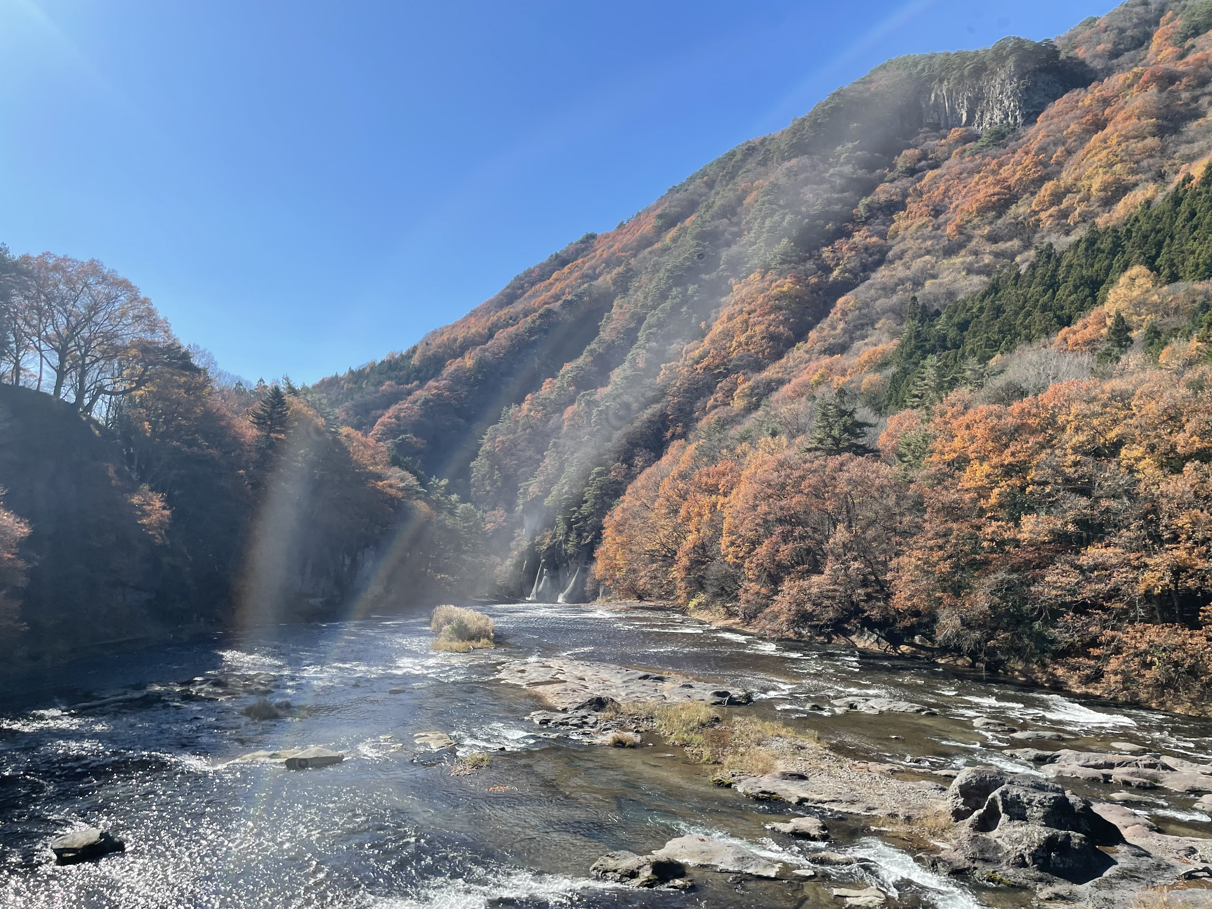 kay⭐️動物の動きで気づきを得る