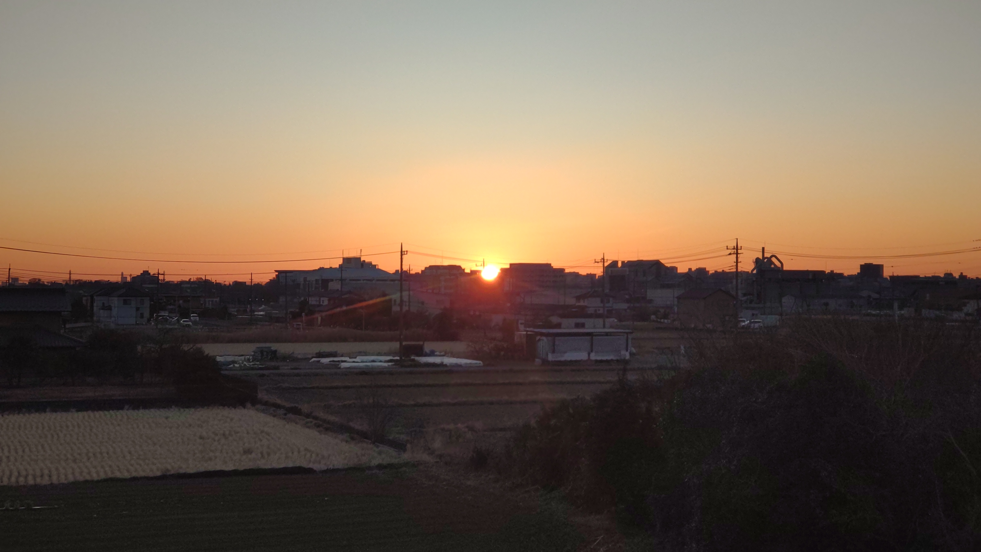 明けましておめでとうございます🎍saki １月レッスン