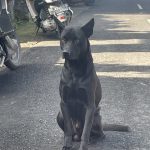 kay⭐️2月水曜ナイトヨガスケジュール🗓️