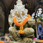 kay⭐️Sunday morning yoga schedule