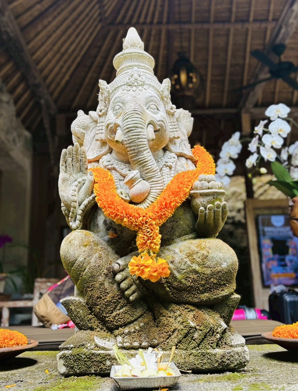 kay⭐️Sunday morning yoga schedule