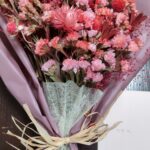 お大きくなりました！